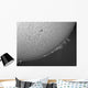 H-alpha Sun with Solar Wall Decal