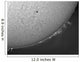 H-alpha Sun with Solar Wall Decal