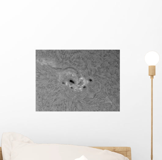 H-alpha Sun with Active Wall Decal