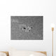 H-alpha Sun with Active Wall Decal