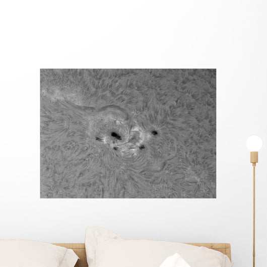 H-alpha Sun with Active Wall Decal