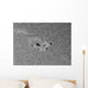 H-alpha Sun with Active Wall Decal