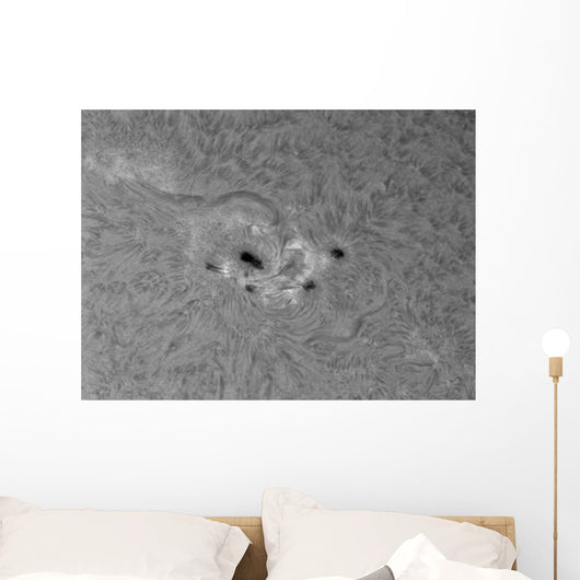 H-alpha Sun with Active Wall Decal