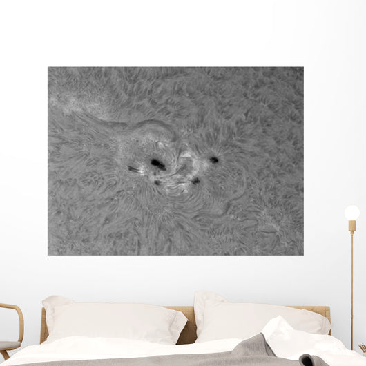 H-alpha Sun with Active Wall Decal