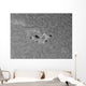 H-alpha Sun with Active Wall Decal