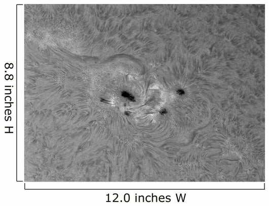 H-alpha Sun with Active Wall Decal
