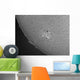 H-alpha Sun with Sunspots Wall Decal