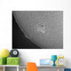 H-alpha Sun with Sunspots Wall Decal