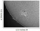 H-alpha Sun with Sunspots Wall Decal