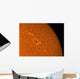 H-alpha Sun Orange with Wall Decal