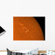 H-alpha Sun Orange with Wall Decal