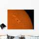 H-alpha Sun Orange with Wall Decal