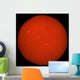 H-alpha Full Sun Red Wall Decal