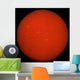 H-alpha Full Sun Red Wall Decal