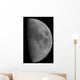 Half-moon Wall Decal