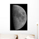 Half-moon Wall Decal