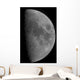 Half-moon Wall Decal