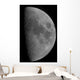 Half-moon Wall Decal