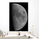 Half-moon Wall Decal