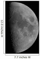 Half-moon Wall Decal