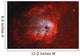 Tadpole Nebula Wall Decal Design 1