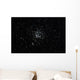 Wild Duck Cluster Constellation Wall Decal