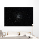 Wild Duck Cluster Constellation Wall Decal