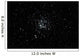 Wild Duck Cluster Constellation Wall Decal