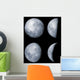 Four Phases Moon Wall Decal