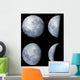 Four Phases Moon Wall Decal
