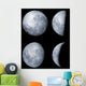 Four Phases Moon Wall Decal