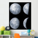 Four Phases Moon Wall Decal