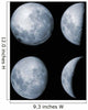 Four Phases Moon Wall Decal