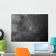 Close-up Copernicus Impact Crater Wall Decal
