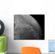 Close-up Moon Showing Impact Wall Decal