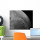 Close-up Moon Showing Impact Wall Decal