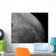 Close-up Moon Showing Impact Wall Decal
