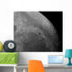 Close-up Moon Showing Impact Wall Decal