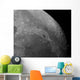Close-up Moon Showing Impact Wall Decal