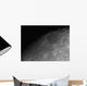 Close-up Detail Moon Wall Decal