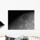 Close-up Detail Moon Wall Decal