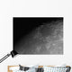 Close-up Detail Moon Wall Decal