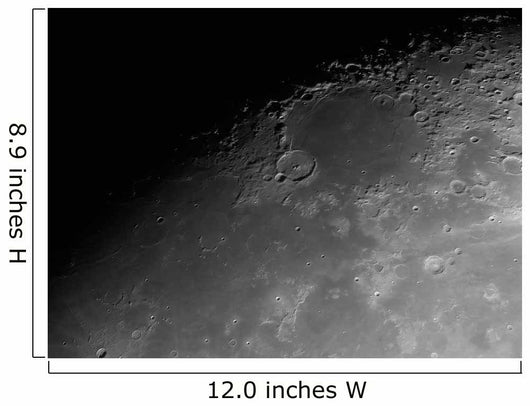 Close-up Detail Moon Wall Decal