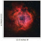 Rosette Nebula Wall Decal