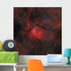 Emission Nebula Ngc 6820 Wall Decal