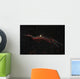 Ngc 6960 Western Veil Wall Decal