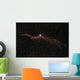 Ngc 6960 Western Veil Wall Decal