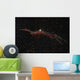 Ngc 6960 Western Veil Wall Decal