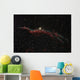 Ngc 6960 Western Veil Wall Decal