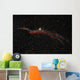 Ngc 6960 Western Veil Wall Decal